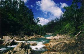 Rio On Belize
